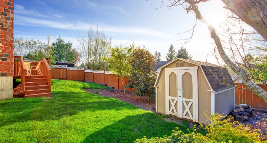 Fenced backyard with storage shed in Las Cruces